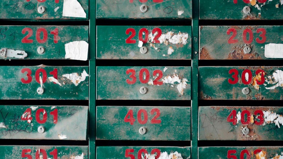 BONK by the Numbers: 985K Wallets and a 1T Burn Pending