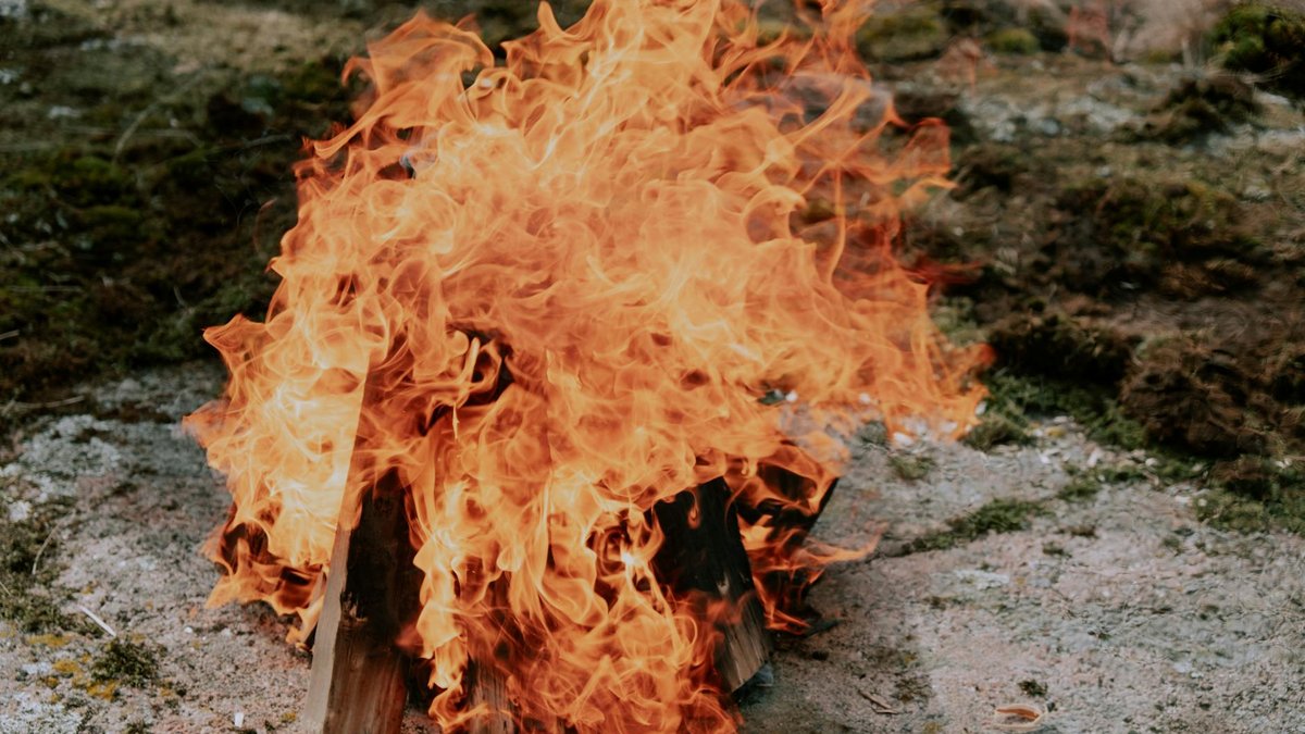 FLOKI en junio 2026: Cuando el Burn golpea un techo de matemáticas