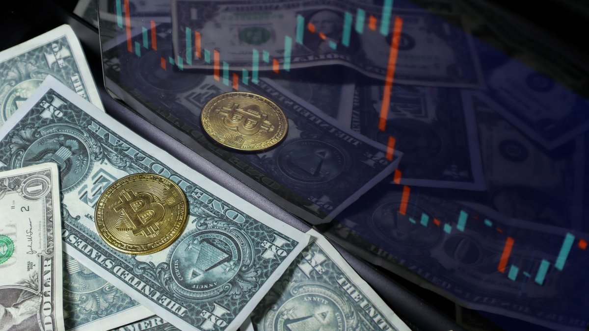Top 5 Les jetons possèdent 80% de Crypto: A 2026 Thèse de Moat