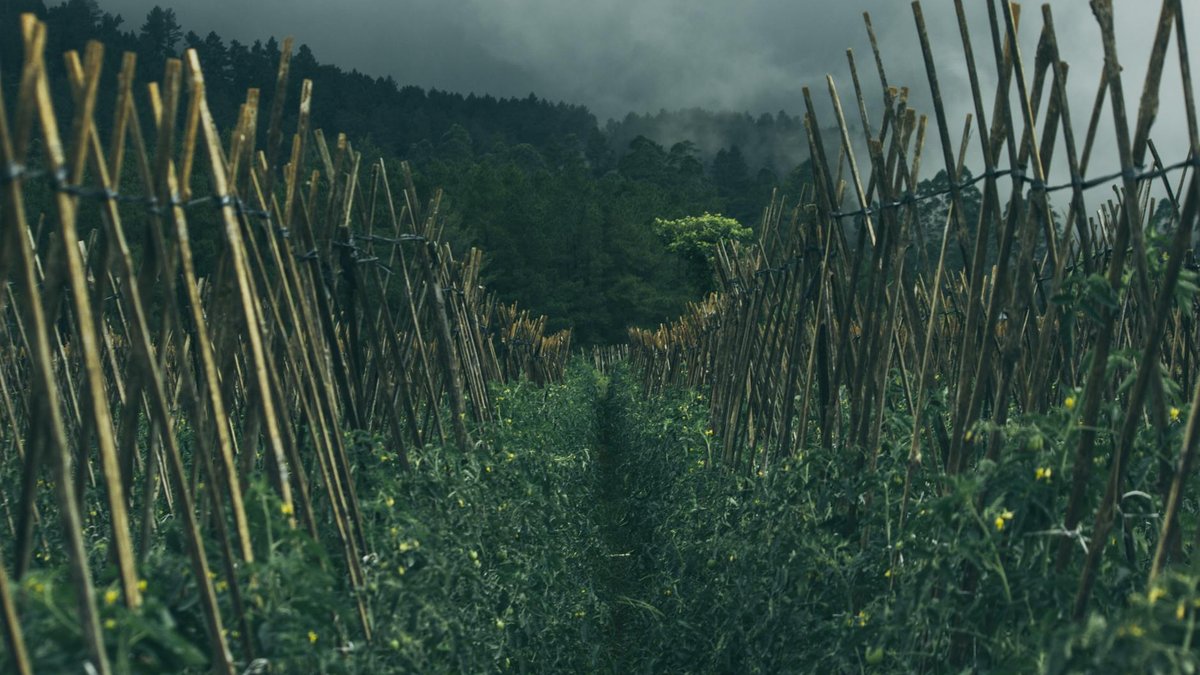 What Is Crypto Staking? Yields, Risks, and 2026 Reality