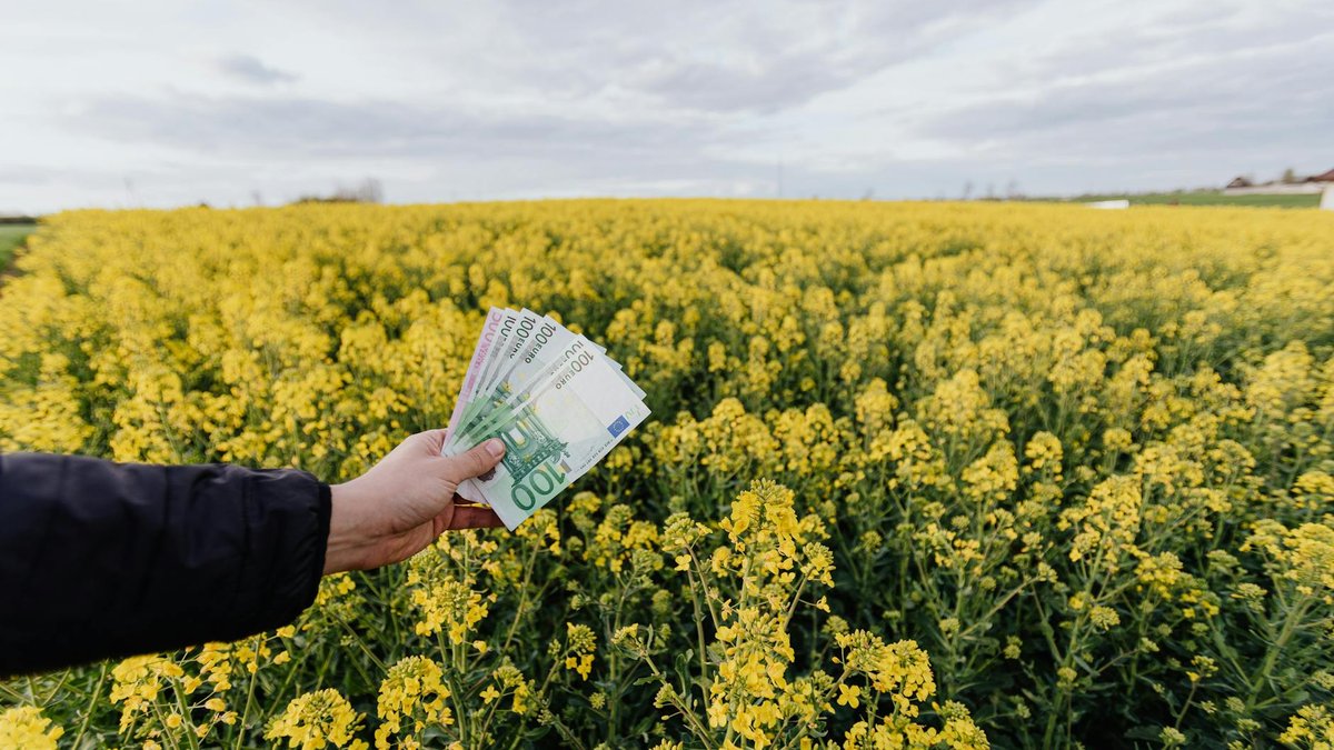 What Is Yield Farming? The 2026 Guide Beyond APY Hype